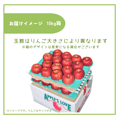 専用10キロ　ふじ，シナノ ふじとシナノゴールドのセット 【中玉】10キロ箱（36～40個入り